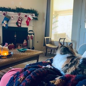 Meet your Posher, Niki